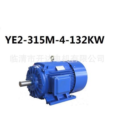 YE3-112M-4-4KW预定式 现货供应三相异步电动机图5