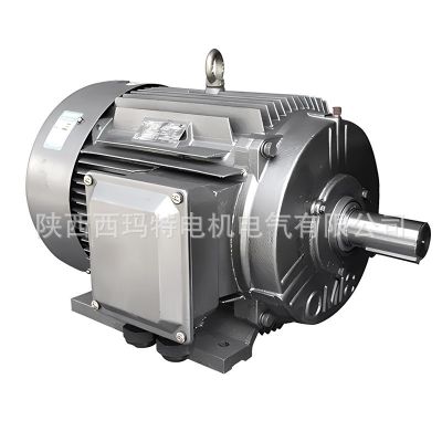 西安西玛电机YE2-315L2-6WF极132KW B3侧右 低压交流三相异步电动图2