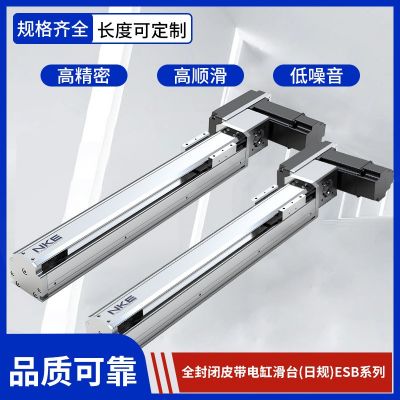供应NKE模组 滑台电缸高精度直线式电缸 半封闭皮带静音电动缸图2