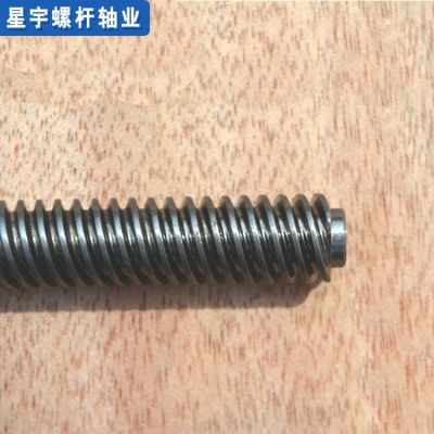 螺纹通丝柱 T12×螺距厂家定制双头蜗杆螺丝螺距螺丝杆批发图2