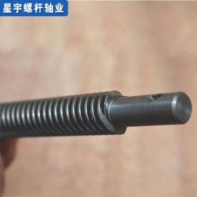 螺纹通丝柱 T12×螺距厂家定制双头蜗杆螺丝螺距螺丝杆批发图4