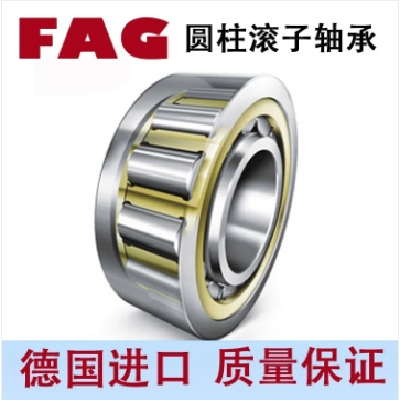 FAG两片式滚子引导黄铜保持架圆柱滚子轴承NU2244-EX-TB-M1图2