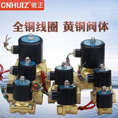 徽正2W全铜电磁阀水阀开关阀电磁控制阀电子排水阀通水阀220V 24V图2