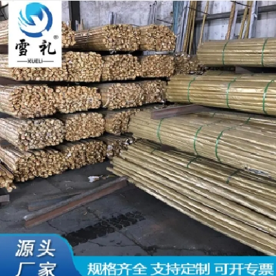 雪礼镀锌全扣丝 国标1米 2米 3米丝杠 梯形扣全牙图2