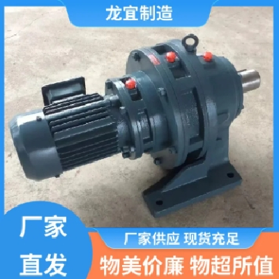 龙宜制造 皮带摆线针轮减速机 体积小 重量轻 轻工业适用图5