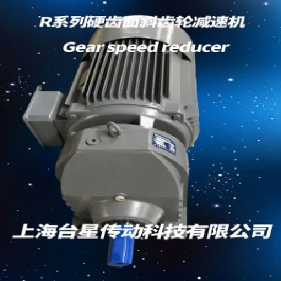 销售定制 R系列硬齿面斜齿轮减速机 齿轮减速器 承受过载能力高图4