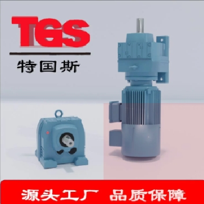 R107减速机 TGS东海 斜齿轮硬齿面 同轴 超高精度 R系列 D系列图4