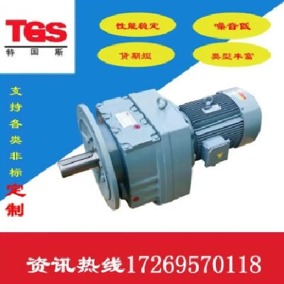 R107减速机 TGS东海 斜齿轮硬齿面 同轴 超高精度 R系列 D系列图3