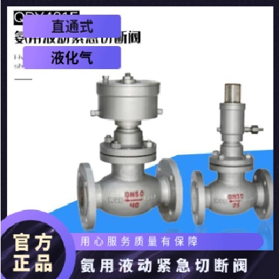 希旺阀门QDY421F氨用液动紧急切断阀可非标定制图5