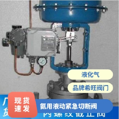 希旺阀门QDY421F氨用液动紧急切断阀可非标定制图2