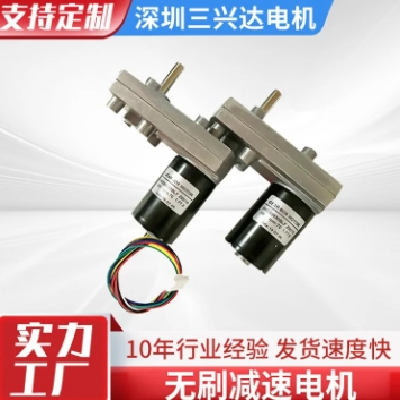 定制微型直流马达无刷减速电机96GB3650BLFZ815图2