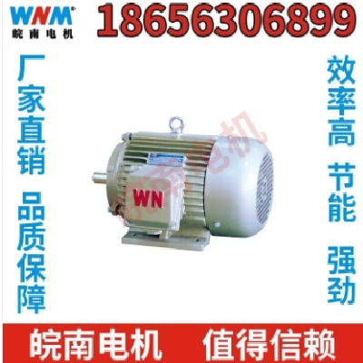 低压电机 皖南电机 节能超高效 可定制 工厂直营图3