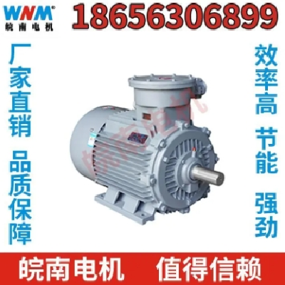 低压电机 皖南电机 节能超高效 可定制 工厂直营图5