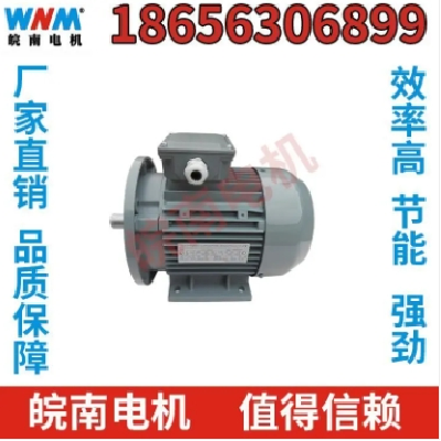 低压电机 皖南电机 节能超高效 可定制 工厂直营图4