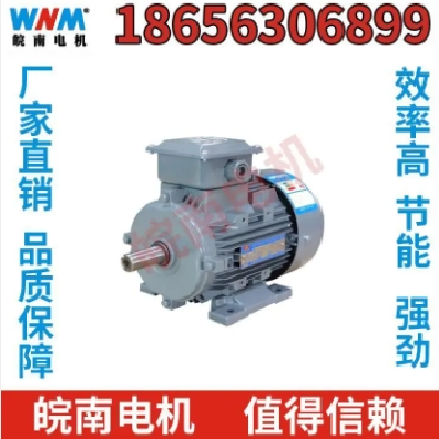 低压电机 皖南电机 节能超高效 可定制 工厂直营图2