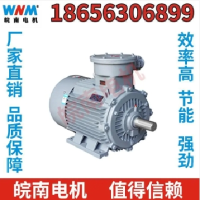 XQ（D）系列直流牵引电动机 新能源汽车助力转向泵电机图5