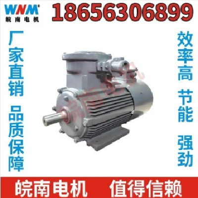 XQ（D）系列直流牵引电动机 新能源汽车助力转向泵电机图2