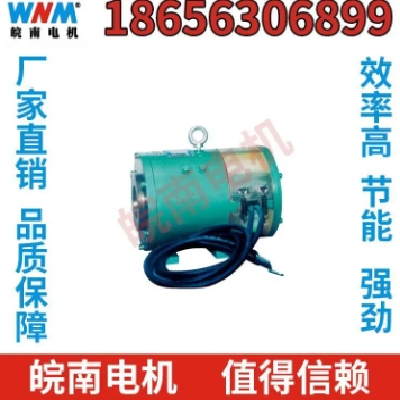 XQ（D）系列直流牵引电动机 新能源汽车助力转向泵电机图3