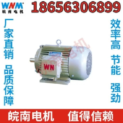 XQ（D）系列直流牵引电动机 新能源汽车助力转向泵电机图4