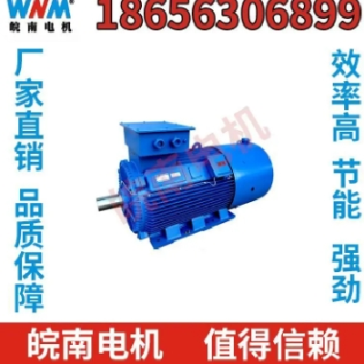 皖南电机 防爆电机 三相异步电动机 过载能力大 工厂直营图3