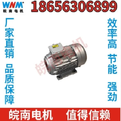 皖南电机 防爆电机 三相异步电动机 过载能力大 工厂直营图2