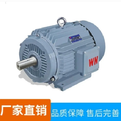 皖南电机 防爆电机 三相异步电动机 过载能力大 工厂直营图4