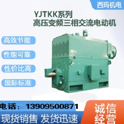 西玛电机源头厂家直供高压电机，高压同步电机低压电机支持定制图2