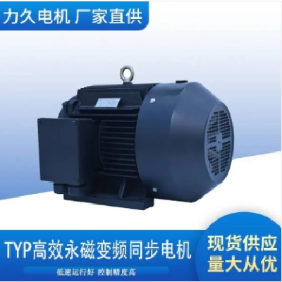 力久特种电机TYP系列高效永磁变频同步电机可定制图2
