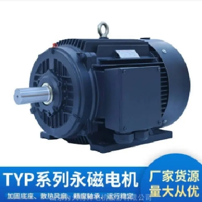 力久特种电机TYP系列高效永磁变频同步电机可定制图3