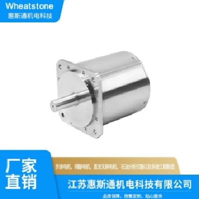防辐射电机 惠斯通 厂家直销 服务贴心 按需定制图2