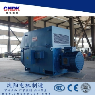 非标定制电机 电机集团制造 低音低噪 性能可靠图4