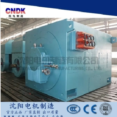 非标定制电机 电机集团制造 低音低噪 性能可靠图3