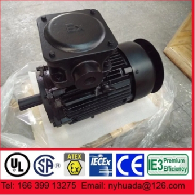 NANYANG YBX3-132S1-2 5.5kW防爆电机IP56防护等级图2