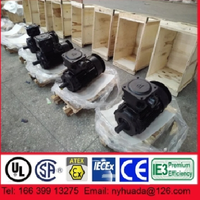 NANYANG YBX3-132S1-2 5.5kW防爆电机IP56防护等级图3
