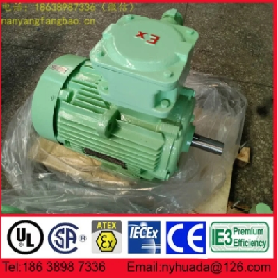 新二级能效NANYANG防爆电机YBX4-100L1-4 2.2kW图4