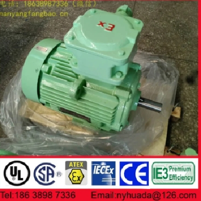 新二级能效NANYANG防爆电机YBX4-100L1-4 2.2kW图5