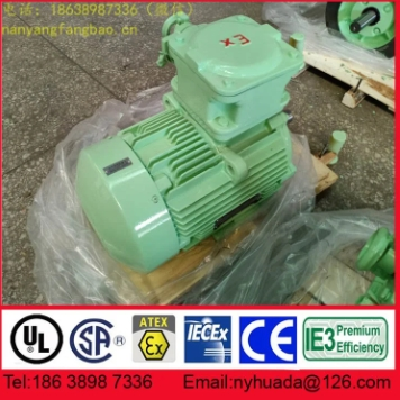 新二级能效NANYANG防爆电机YBX4-100L1-4 2.2kW图2