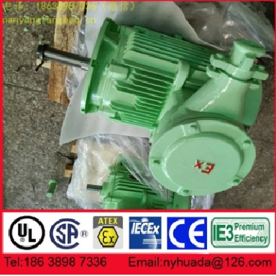 新二级能效NANYANG防爆电机YBX4-100L1-4 2.2kW图3