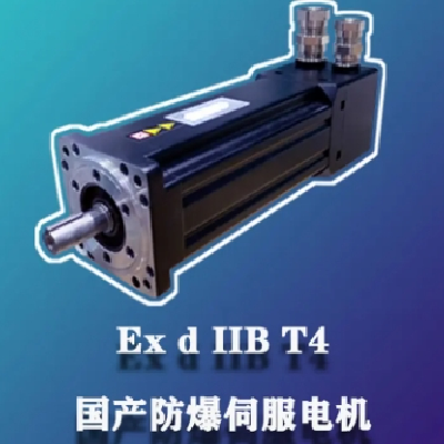 进口防爆伺服电机 专用于喷涂印刷 雷管 1区 2区 气体粉尘环境图2