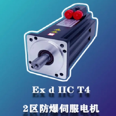 进口防爆伺服电机 专用于喷涂印刷 雷管 1区 2区 气体粉尘环境图4