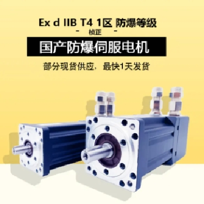 进口防爆伺服电机 专用于喷涂印刷 雷管 1区 2区 气体粉尘环境图5