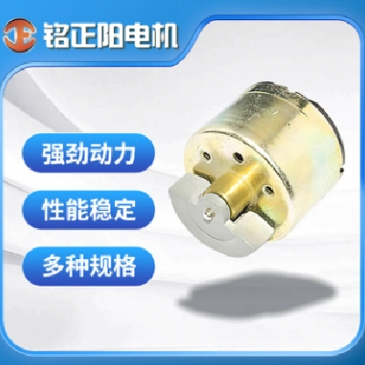 仪器仪表微型电机 选择多年经验 专业生产微电机FF-M20VA 源头工厂图2