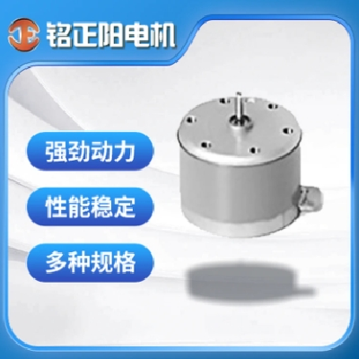 仪器仪表微型电机 选择多年经验 专业生产微电机FF-M20VA 源头工厂图3