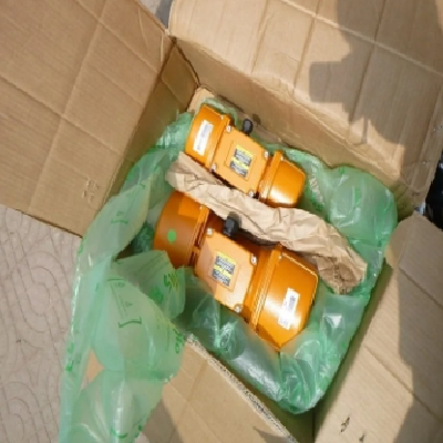 意大利italvibras振动电机MVSI系列离心力达30500 kgf图3