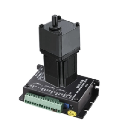 大功率无刷直流电机T5LBDC750-24A-30S 直流电机系列无碳刷图2