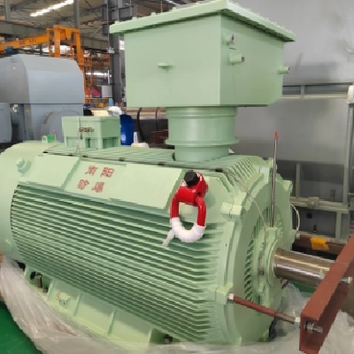 Y3-355～560系列高压普通型三相异步电动机 二级能效图3