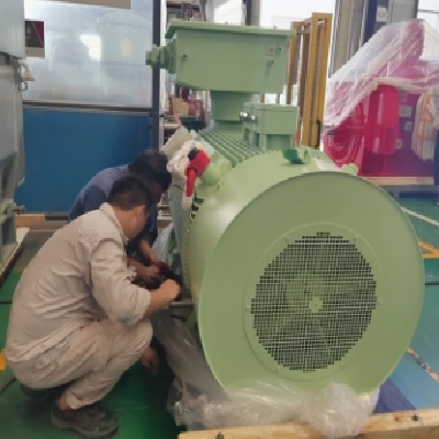 Y3-355～560系列高压普通型三相异步电动机 二级能效图2