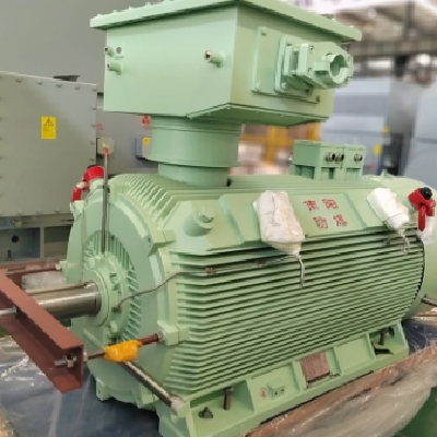 Y3-355～560系列高压普通型三相异步电动机 二级能效图4