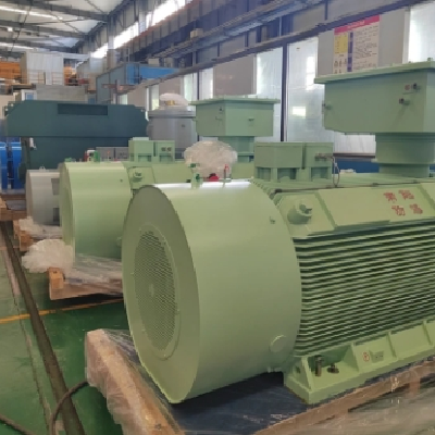 Y3-355～560系列高压普通型三相异步电动机 二级能效图5