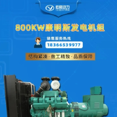 康明斯900kw柴油发电机组 学校 小区用低噪音应急发电机组图4